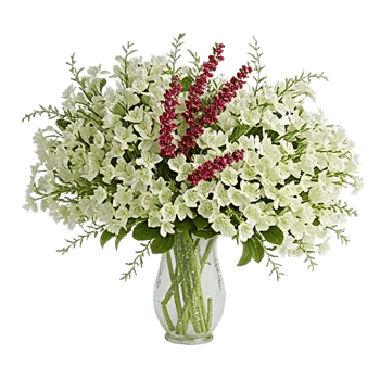 Ivory Blossom Radiance