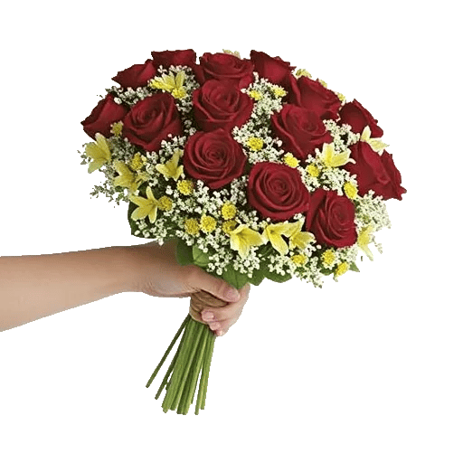 Blushing Rose Symphony