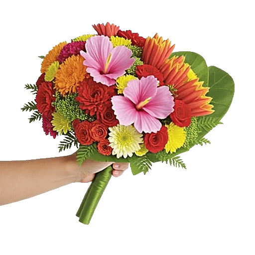 Petal Harmony Bliss