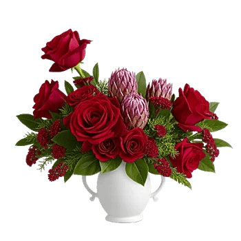 Crimson Rose Elegance