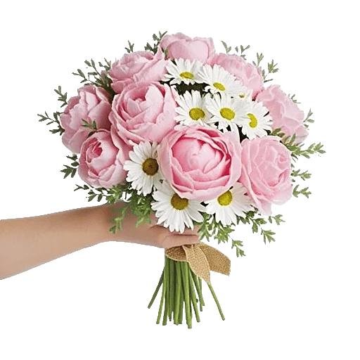 Peony Petal Harmony