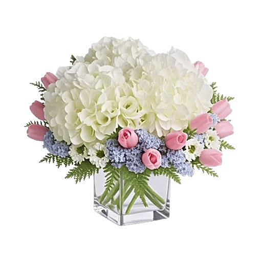 Serene Petal Harmony