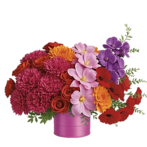 Petal Radiance Bliss