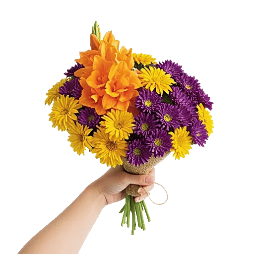 Vibrant Orange Delight