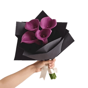 Elegant Calla Lilies