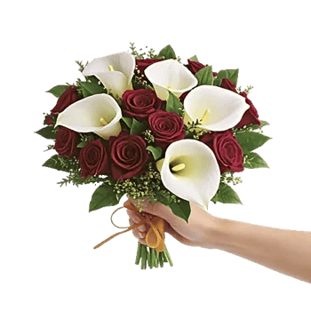 Elegant Calla Lilies