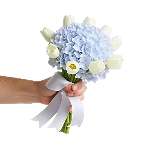 Serene Garden Harmony