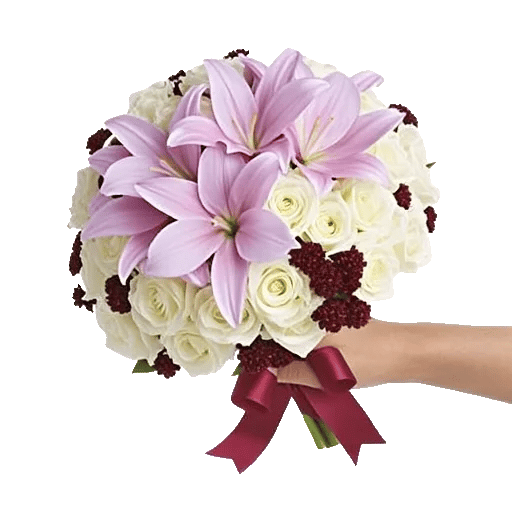 Blushing Rose Symphony