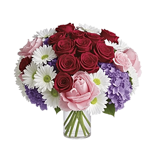 Crimson Blossom Harmony