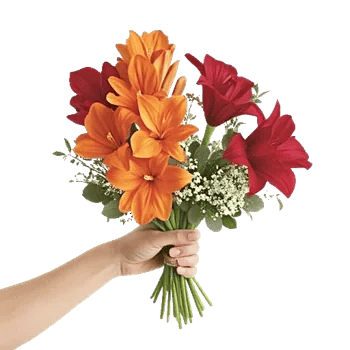 Blossom Glow Symphony