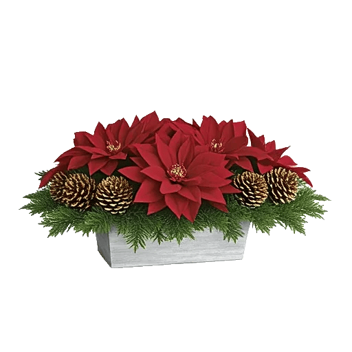 Petal Radiance Bliss