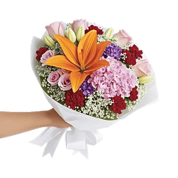 Blossom Glow Symphony