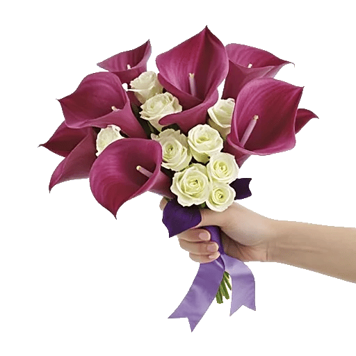 Elegant Calla Lilies