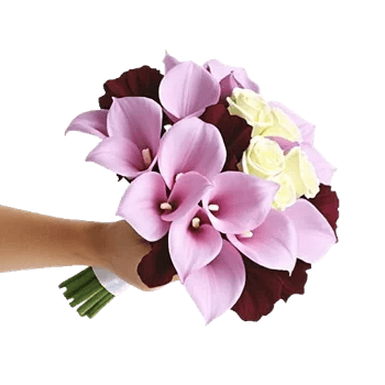 Elegant Calla Lilies