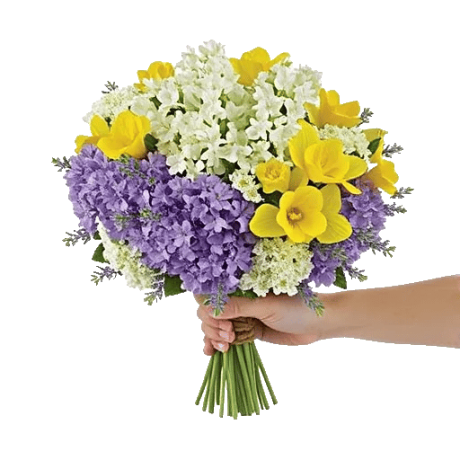 Ivory Blossom Radiance