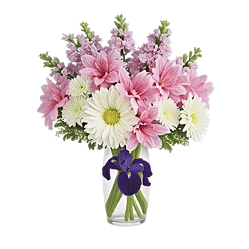 Graceful Lily Display