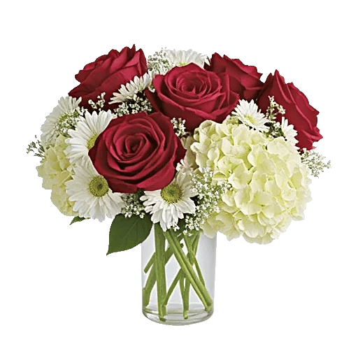 Crimson Blossom Harmony