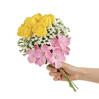 Blossom Harmony Display