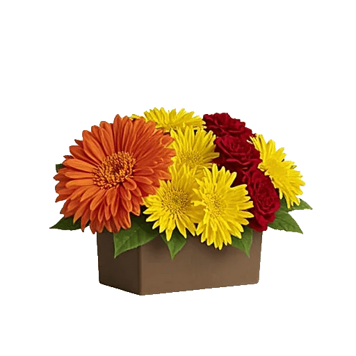 Radiant Bloom Cascade