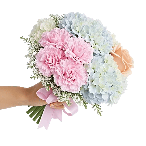 Pastel Pink Roses