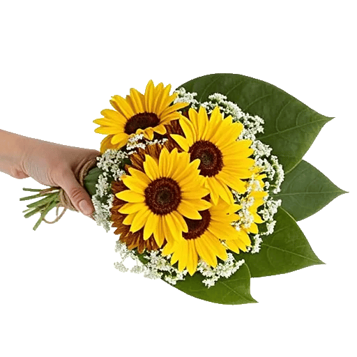 Golden Petal Harmony