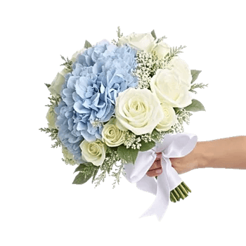 Serene Petal Harmony