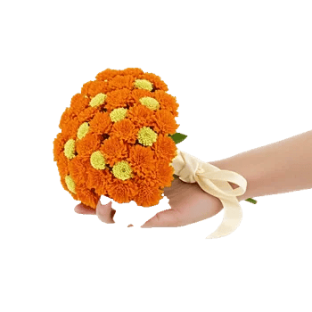 Vibrant Orange Delight