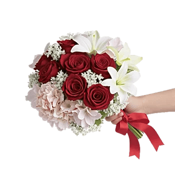 Crimson Rose Elegance