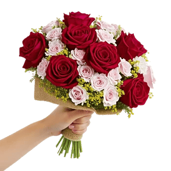 Crimson Rose Elegance
