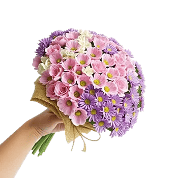 Blossom Petal Serenity